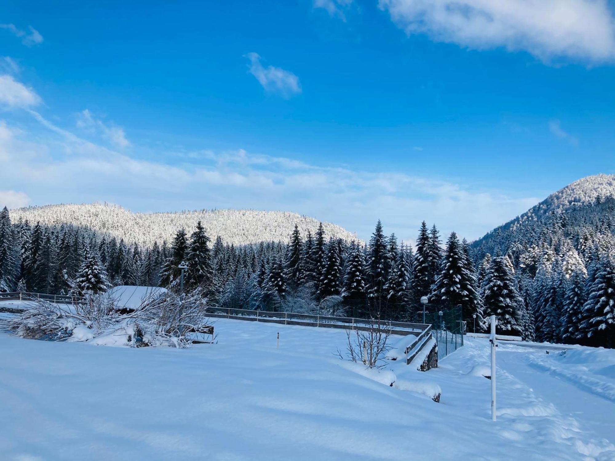 Le Perchoir Du Grand Valtin - Gite 5 Personnes - Altitude 830 Ban-sur-Meurthe-Clefcy Zewnętrze zdjęcie
