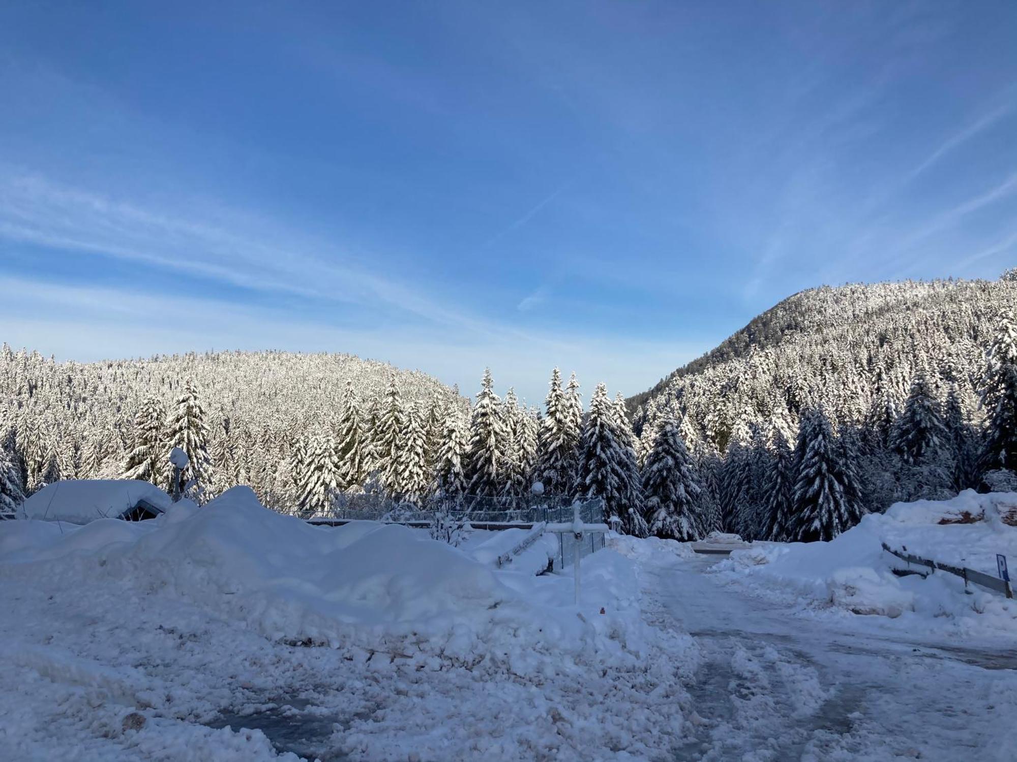 Le Perchoir Du Grand Valtin - Gite 5 Personnes - Altitude 830 Ban-sur-Meurthe-Clefcy Zewnętrze zdjęcie