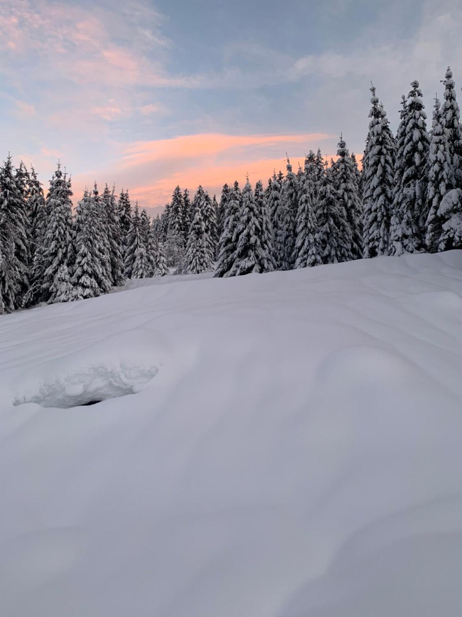 Le Perchoir Du Grand Valtin - Gite 5 Personnes - Altitude 830 Ban-sur-Meurthe-Clefcy Zewnętrze zdjęcie