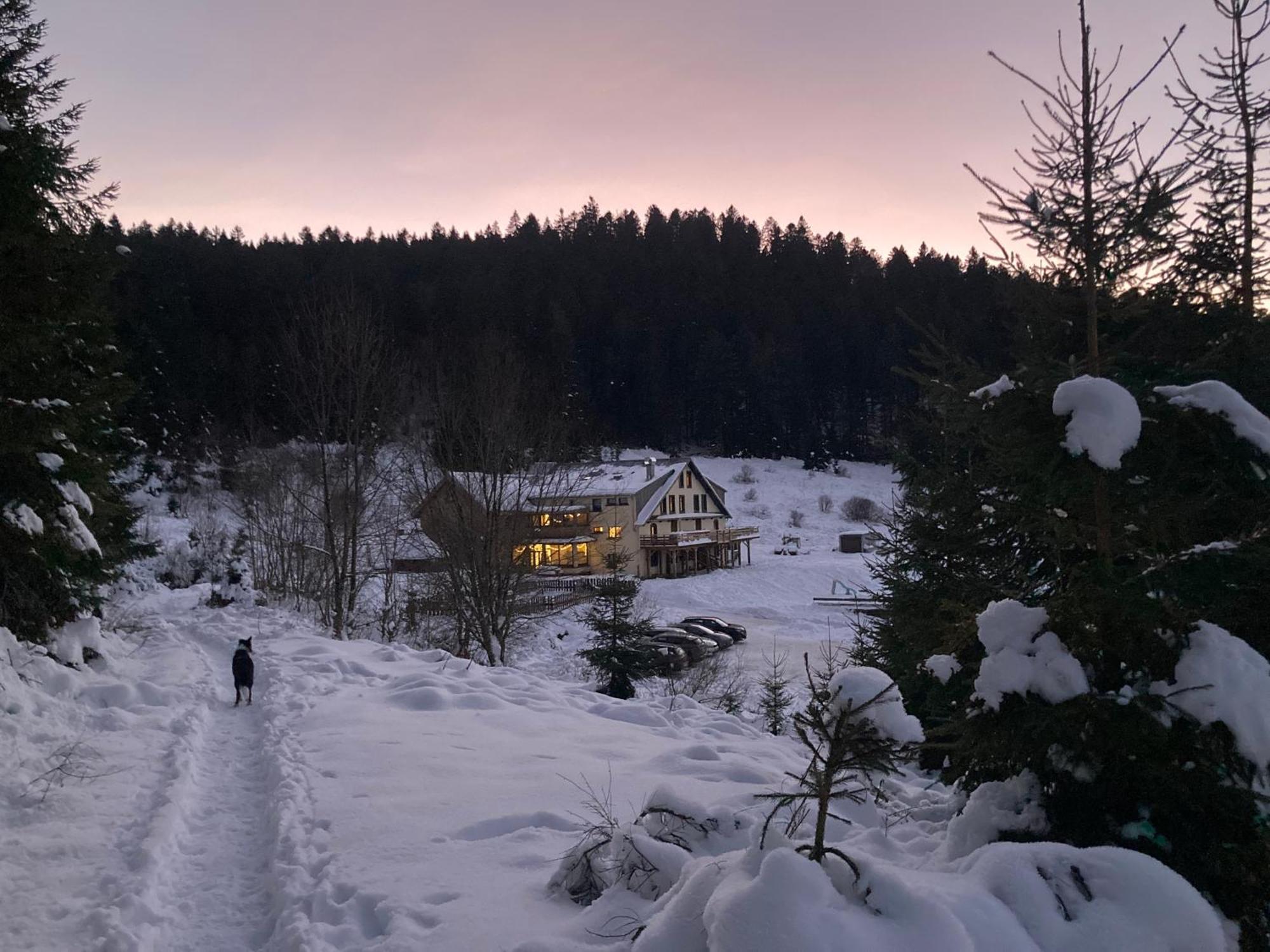Le Perchoir Du Grand Valtin - Gite 5 Personnes - Altitude 830 Ban-sur-Meurthe-Clefcy Zewnętrze zdjęcie